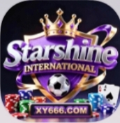 星耀国际